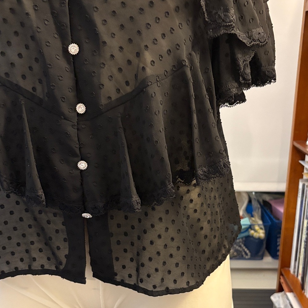 Zara Black Sheer Layered Blouse - Picture 8 of 14